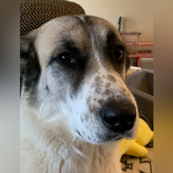 Howdy! - Picture 4 of 9